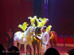 Circus Alex Kaisert am 1. Mai 2026